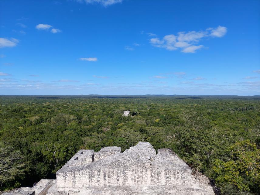 Calakmul Biosphere Reserve (CBR). ©Carlos Delgado Martínez.