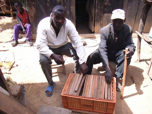 Teaching members of the community to construct the hybrid beehives