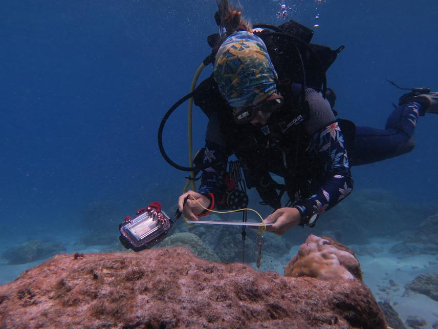 Laura taking data underwater. © Carlos Mallo Molina.