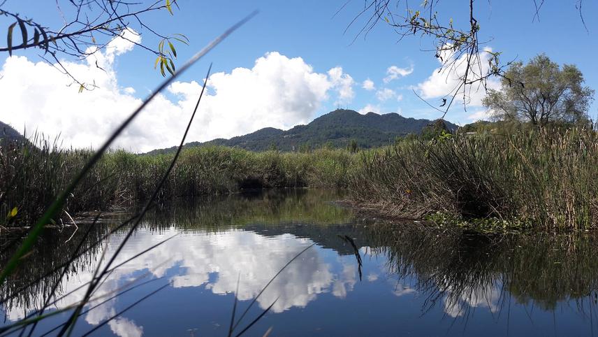 Part of La Kisst Mountain Wetland. © Abenamar Perez Mendez