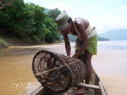 Fishing by cane cage.