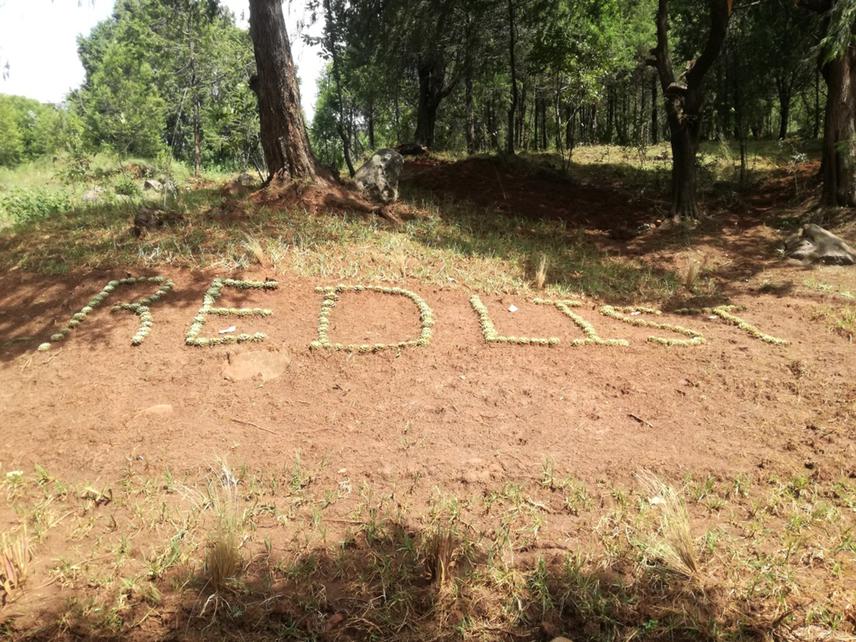 The newly established IUCN Red List Theme in the Gullele Botanic Garden, Addis Ababa. © Talemos Seta, Sep. 2020.