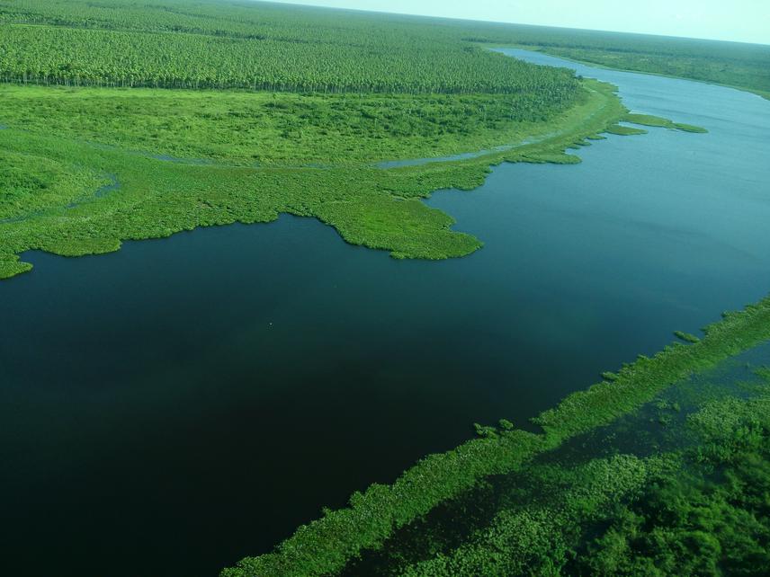 Pantanal, the project region.