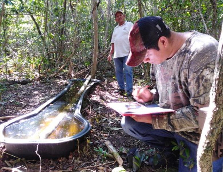 Monitoring artificial water tanks in Calakmul during prolonged drought