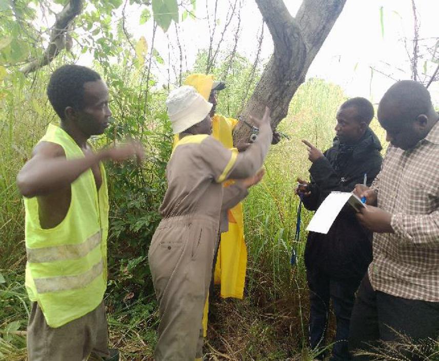 Project team making sample plots during forest vegetation survey.