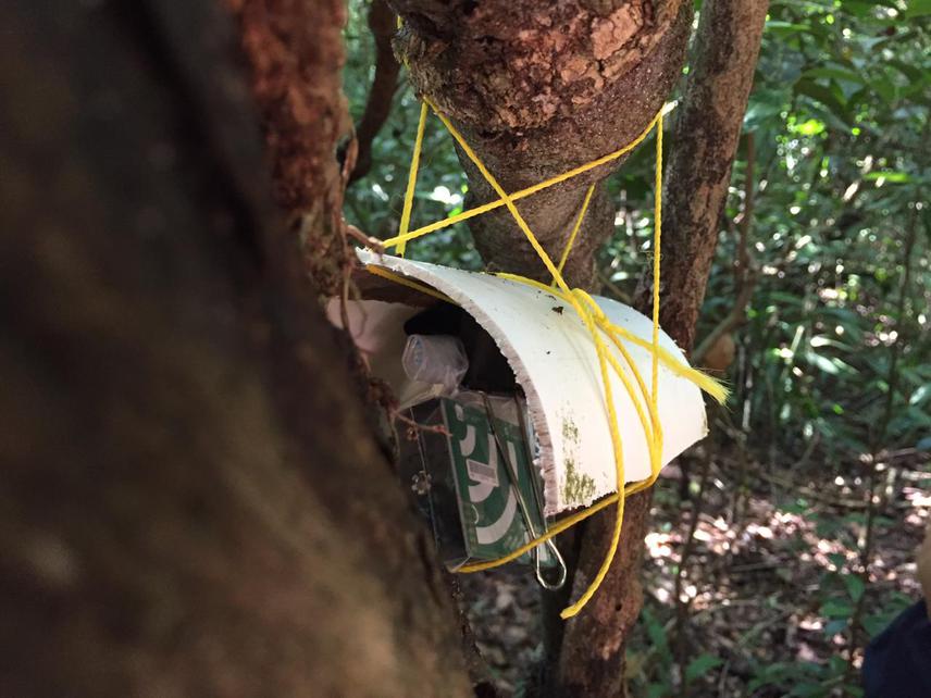 Testing how our Audiomoth recorders can be protected from rain using little roofs made of recycled PVC pipes. Photo 3: All work was carried out following the principles of “Best Practices in Field Primatology in the Age of COVID-19”.