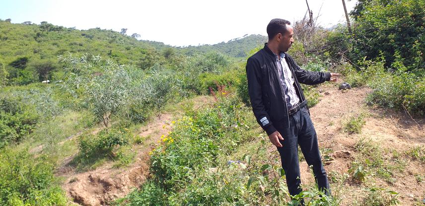 Project manager demonstrating his tree planting outputs and management efforts in the suburban area of Adama, Ethiopia .