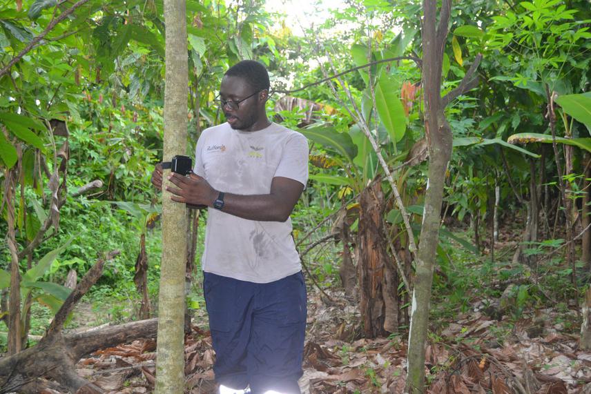 Team leader installing Audiomoth bat detector in a nearby farms around the reserve.