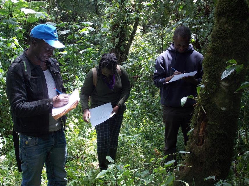 Scientists taking notes on the conservation status of orchids in the forest.
