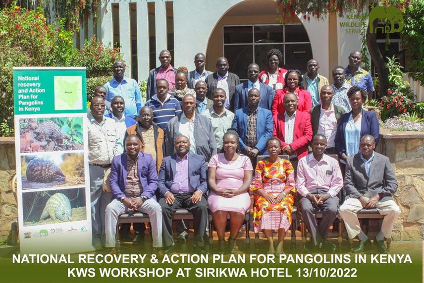 Participants during the national recovery and action plan workshop.