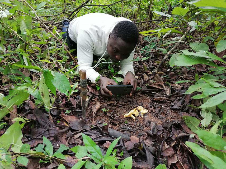Basile Hounwanou during fieldwork in Bassila Forest Reserve, July 2022