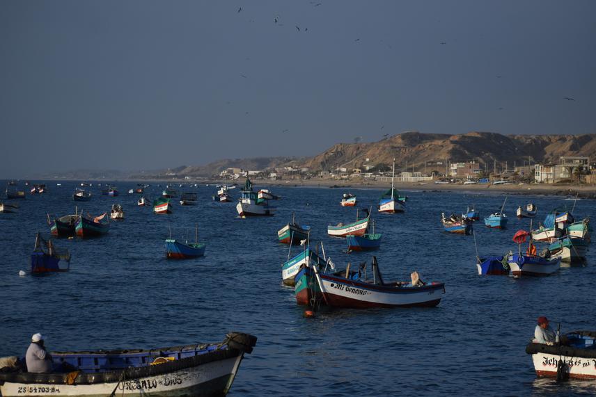 Fishing boats anchored near the Cancas pier (study area). © Ruben Torrejon.