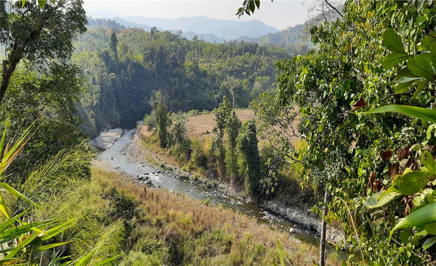 Secondary forests in the catchment area of the Tuivang River. © Letkhosei Baite