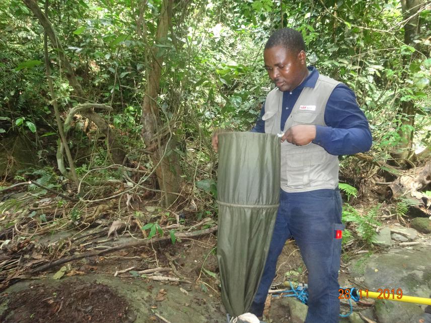 Mac Elikem using the beetle sieve to collect forest floor litter in search for microscopic snails.