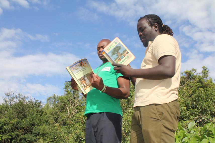 At the top of Ramogi Hill, identifying trees using vegetation guide books.