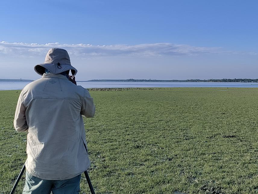 Observing migratory shorebirds including the globally Endangered Great Knot on central coast of Bangladesh.  © Shariful Islam.