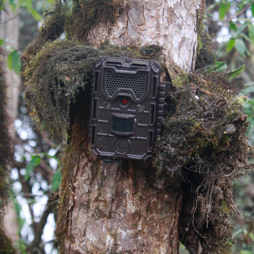 Camera traps are non-invasive way to monitor the status of small carnivores. In our current project, camera traps will be used to assess the occupancy of small carnivores to identify crucial habitats. © Jeevan Rai.