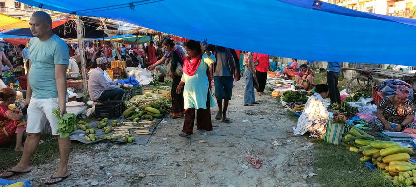 Local hatiya (small bazaar) for selling different food and vegetables in Sunsari District. ©Aakrista Adhikari.