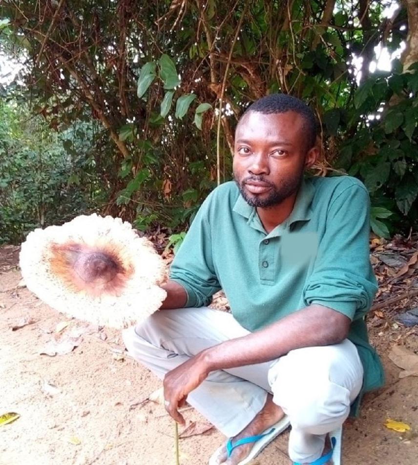 Wawa Juvey collecting a Macrolepiota in Congo.