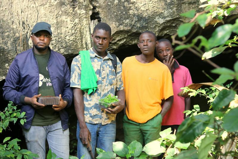 Rescue of African violets’ seedlings in Chasimba. © Cornelius Kyalo.