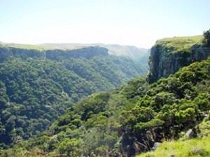 Mtamvuna Nature Reserve overlook view. © Dr. Marincowitz.
