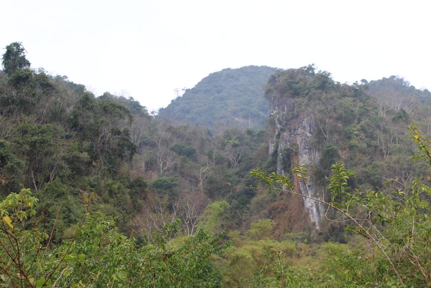 Habitat of the Francois’ langur at Huu Lien Nature Reserve, Lang Son, Vietnam.