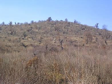 Hill slopes to the south of and immediately adjacent to Vanadzor city. Once being covered by a rich forest cover they are now a home to bare trunks.