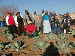 Farming communities ready for vegetable production at nursery.