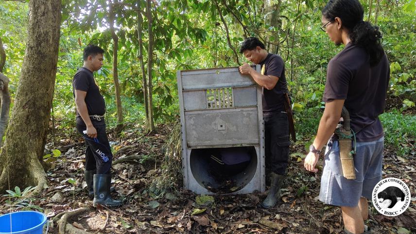 © Bornean Sun Bear Conservation Centre (BSBCC).