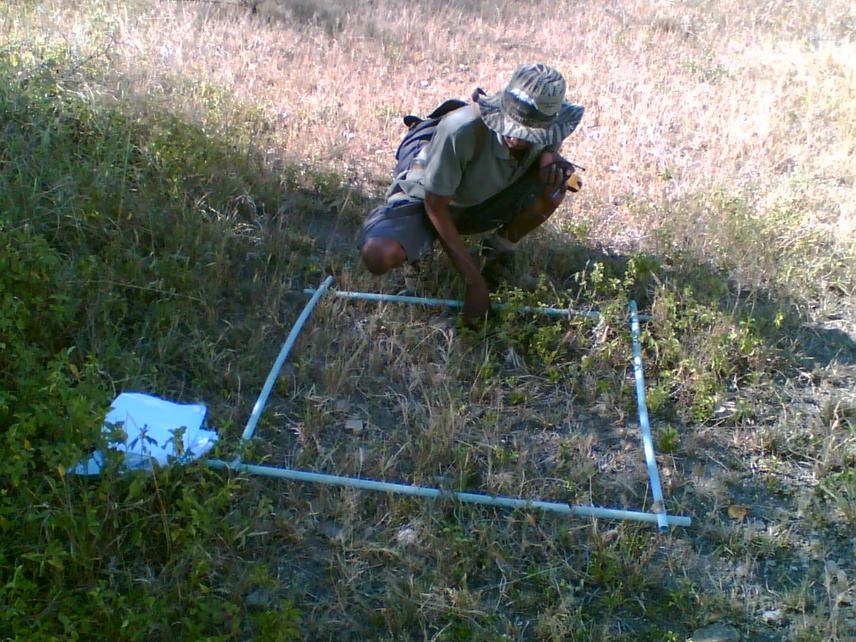 A quadrat is used to sample the species present in a habitat.