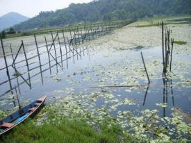 Fish Farming by a Farmers’ group in Rupa Lake