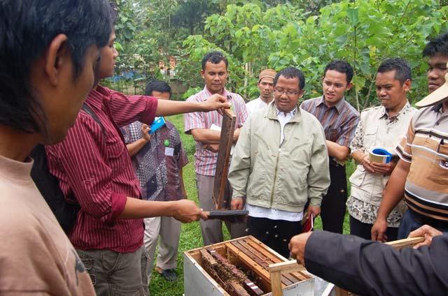 Sustainable use of natural resource bee training.