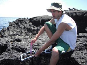 Grant recipient, John Paul Tiernan taking an intertidal quadrat at Cabo Douglas, Fernandina