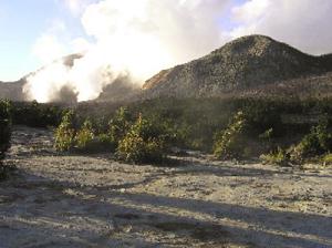 Pondok Saladah, the site where the vegetatation was previously destroyed by 2002 eruption.