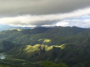 The Yungas Forest in the Municipality of Quirusillas.