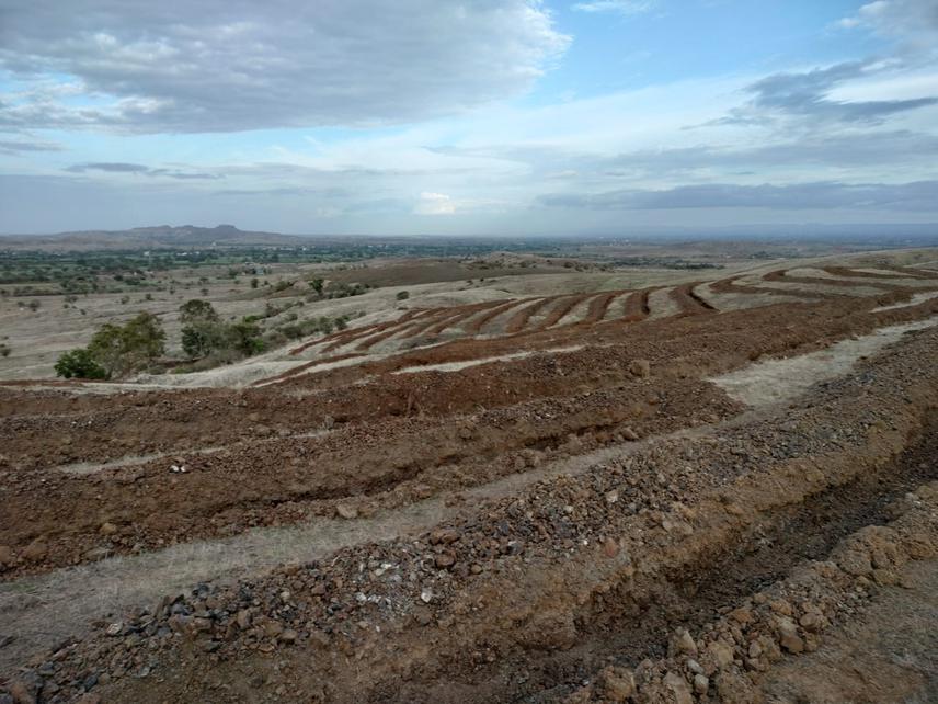 Soil bunds dug for water and soil conservation in tree planting sites. ©Anisha Jayadevan.