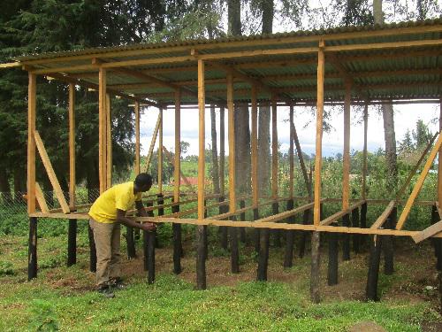 Construction of the sheep shed in progress.