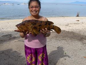 Photo taken while doing fieldwork in Balicasag island during an early morning fish catch monitoring at a landing site in Balicasag with me holding an Epinephelus grouper caught by a fisher by hook and line after close to three hours of fishing.