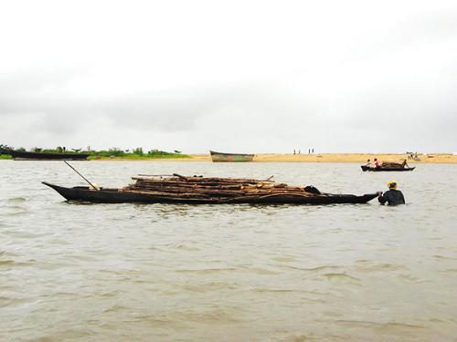 Over-exploitation of mangrove at Limbe.