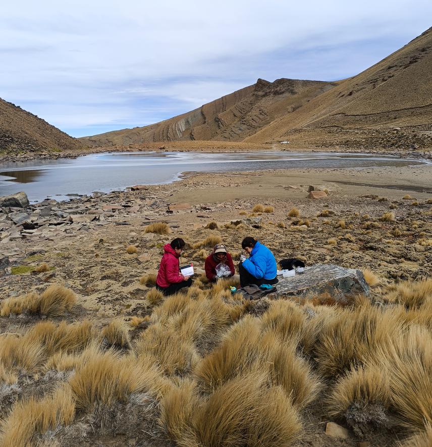 Fieldwork in Laguna Verde, Jujuy, Argentina. ©Agustina Murgia.