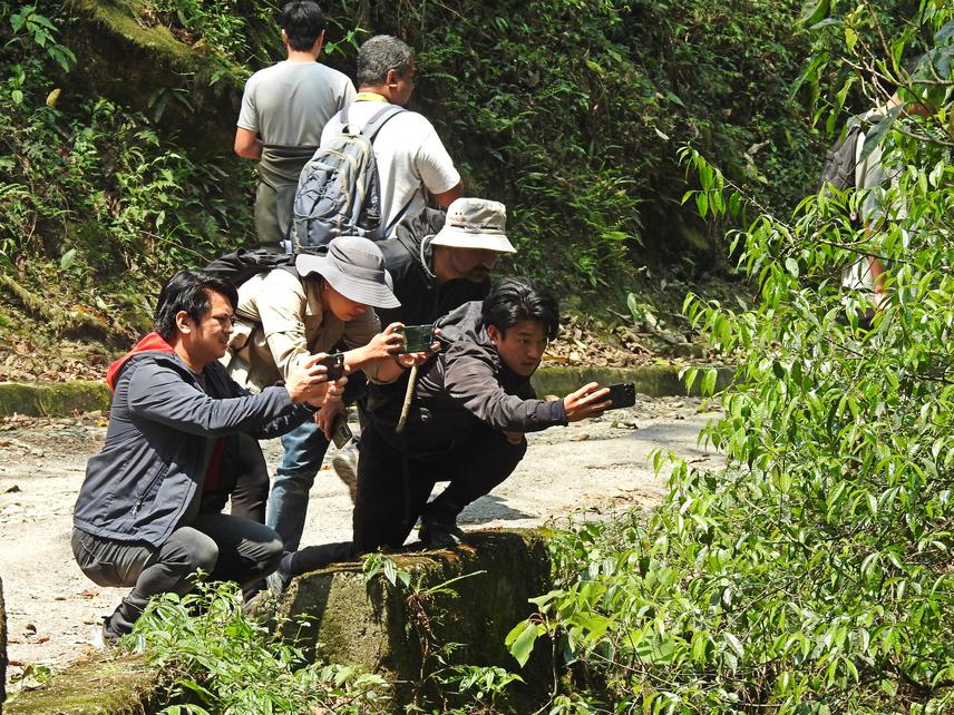 Students and Researchers documenting butterflies in Sikkim, Eastern Himalaya in one of the citizen science awareness campaign organized campaigns by ATREE. ©Pema Yangden, ATREE.