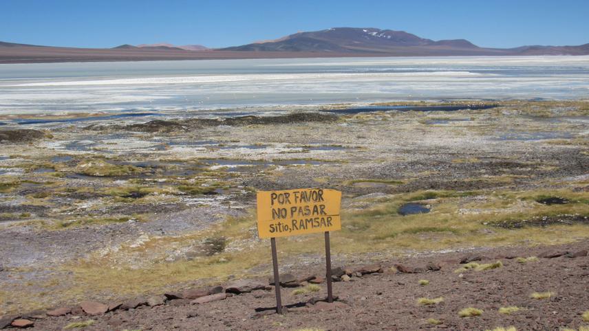 Main viewpoint of Laguna Brava. ©Thamara Fariñas Torres.