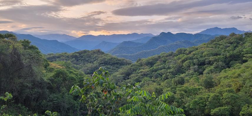 Baritú National Park – Yungas Andean forest. ©Facundo J. Alvarez.