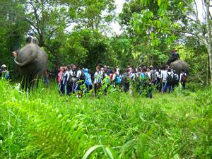 Elephant conservation education.