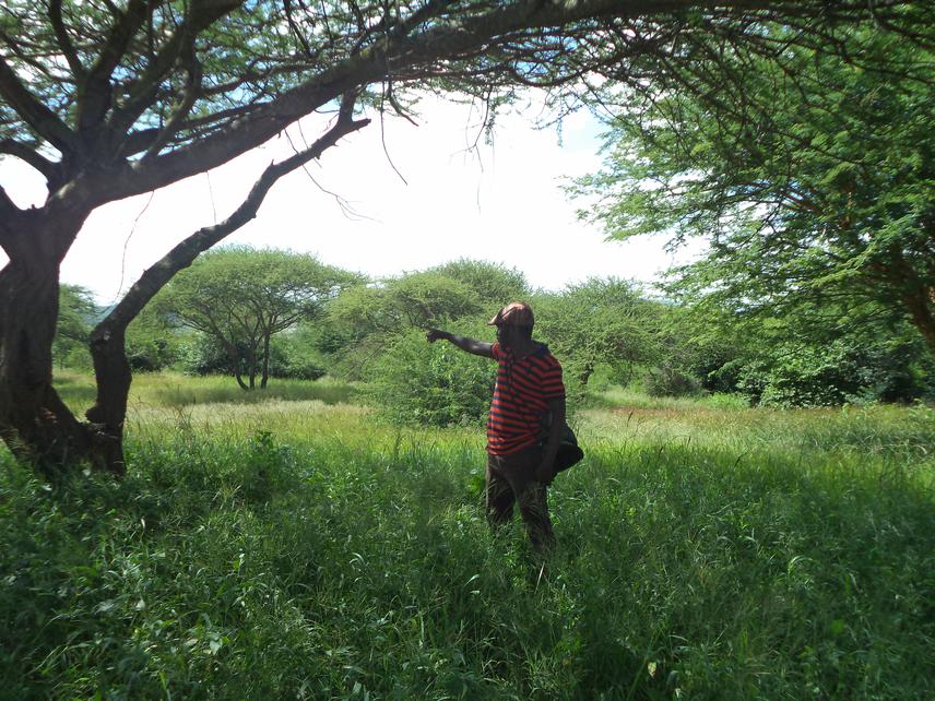 Field survey for fodder plant species diversity assessment in the Alalili systems. ©Elkana Hezron (2023).