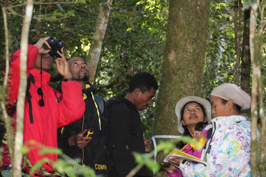 Team tracking the lemur's activity. ©Nantenaina Rindra Harilanto.