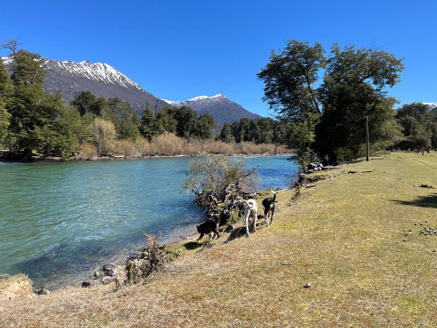 River “El Manso” in Río Negro, Patagonia, its mountains and free roaming dogs. ©Laura Borsellino.