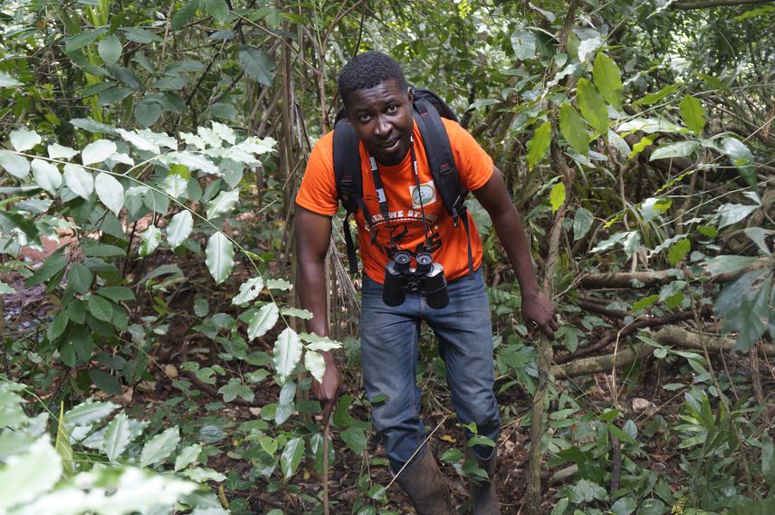 ©Stephen Ofori / Agrointroductions.